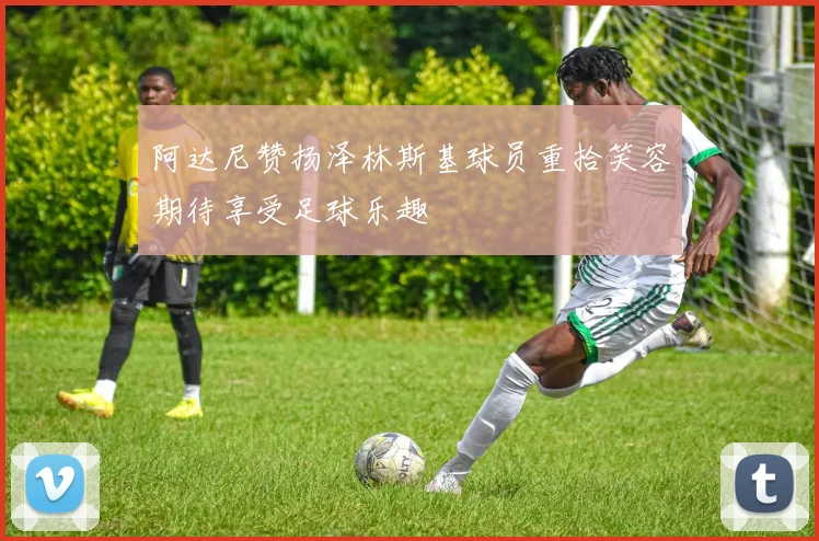 阿达尼赞扬泽林斯基球员重拾笑容期待享受足球乐趣