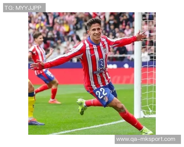 西甲赛季犯规统计洛塞尔索以23次领跑朱利亚诺西蒙尼并列第五